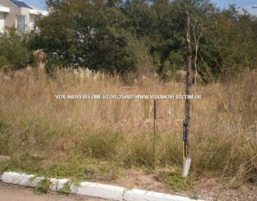 Imagem 5 de 15 de Terreno - Sao Luis - Ref: 45842 - V-45842