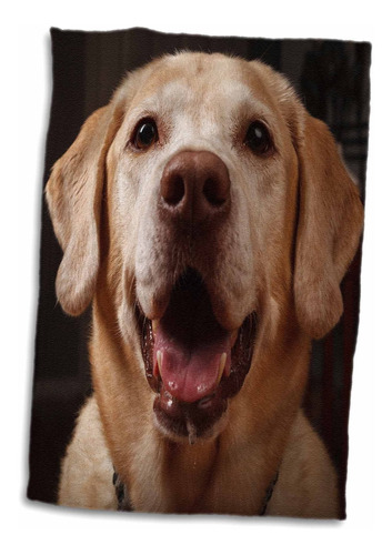 3d Rose Usa-oregon-labrador Retriever Toalla De Mano, 1...