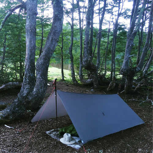 Imagen 4 de 7 de Toldo Tarp De Silnylon Signa Naturae C/ Sellador (m) 270x210