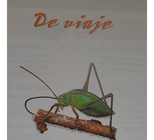 Libros De Lengua -de Viaje- Santillana -3 Er Egb (Usado)
