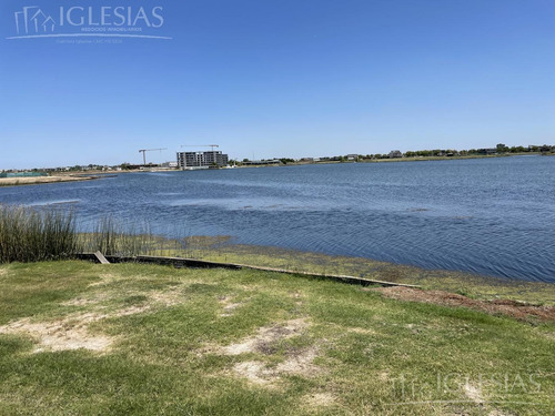 Imagen 6 de 13 de Terreno Al Lago - Muelles