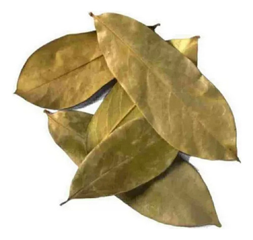 Hojas De Té Guanabana Deshidratadas 50g Organico