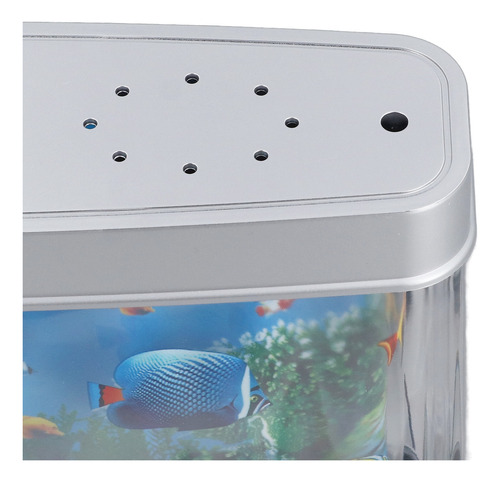 Acuario Artificial Decorativo Con Forma De Océano, Miniatura