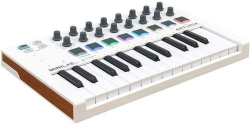 Arturia Minilab Mkii 25 Slimkey Roller Keyboard De S...