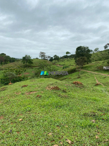 Imagem 3 de 15 de Fazenda - Zona Rural - Ref: 5534 - V-mta5534