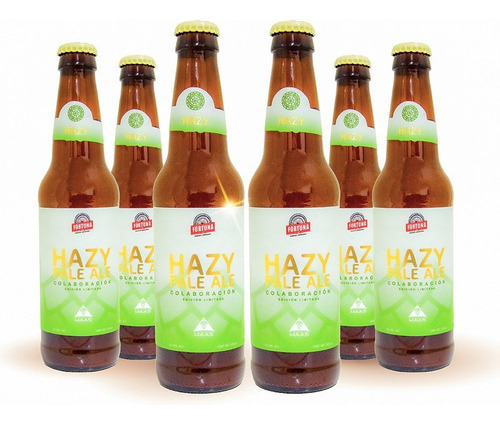 Six Pack Cerveza Artesanal Fortuna Hazy Pale Ale 355ml C/u