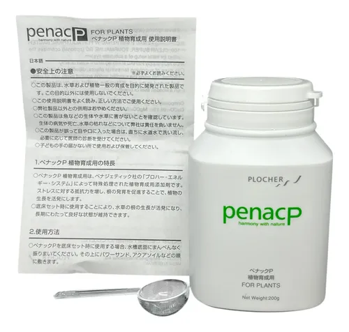 ADA ペナックP 絶版・入手困難・レア品】ADA penac A ぺナックA