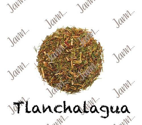 Tlanchalagua Té, 100% Natural Puro, Planta Medicinal 500g.