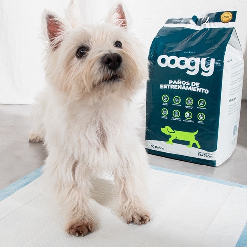 50 Paños Ultra Absorbentes Para Pis Perros 56 X 56 Cm Ooogy