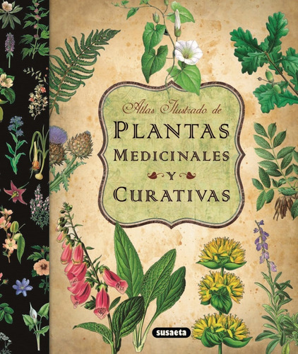 Plantas Medicinal Y Curativas Atlas Ilustrado