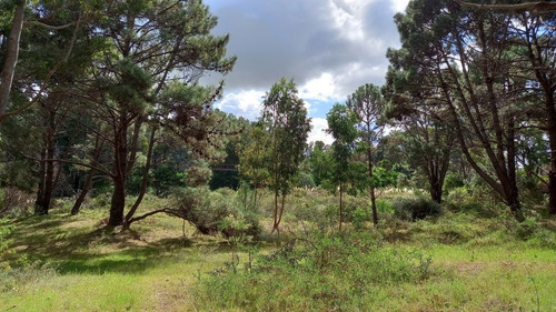 Imagen 15 de 17 de Lote En Venta En La Barra (ref: Atm-6651)