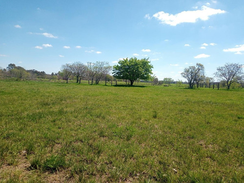 Imagen 23 de 30 de Campo En Venta Zona Polo, Pilar, Con 2 Canchas De Polo Y Varias Mejoras