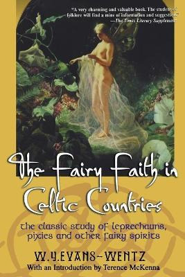 Libro Fairy Faith In Celtic Countries - Wentz W.