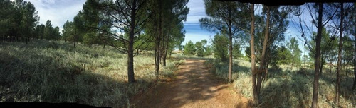 Lotes En Venta Reserva Darwin!! Balneario Pehuen Co