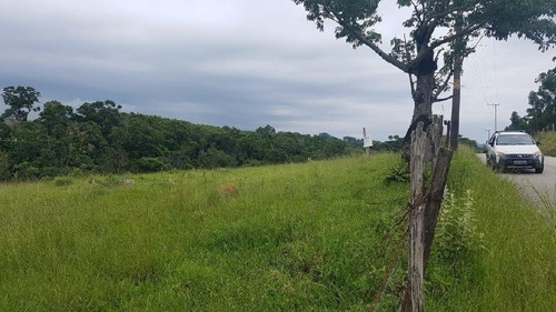 Imagem 1 de 4 de Venda - Sítio Jundiaquara / Araçoiaba Da Serra/ - 5613