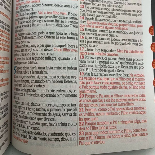 Bíblia Sagrada Letra Jumbo Com Harpa E Corinhos Índice Lateral Capa Leão Rei