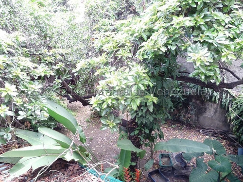 Imagen 8 de 10 de Casa O Terreno En Las Mercedes Mls #22-17164 Wilfredo Bazan