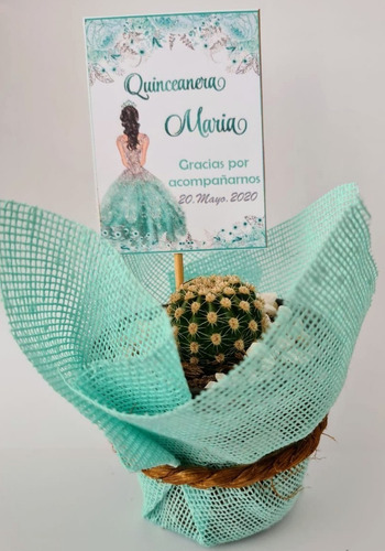 Imagen 1 de 10 de Recuerdos 30 Plantas Suculentas Decoradas Todo Evento