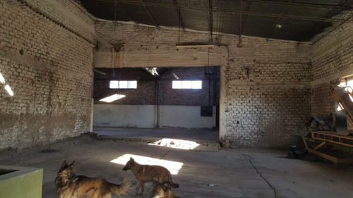 Imagen 4 de 13 de Vendo Propiedad Con Galpones Y Casa Centrico