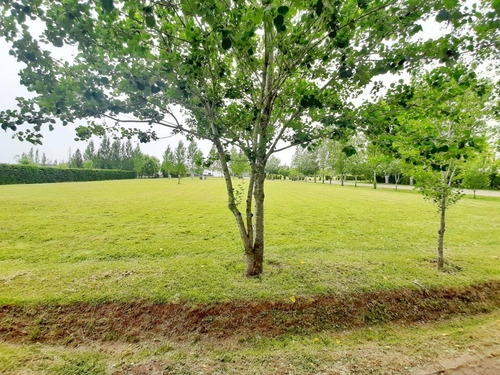 Imagen 7 de 7 de Venta Terreno En Lomas De Petion Cañuelas