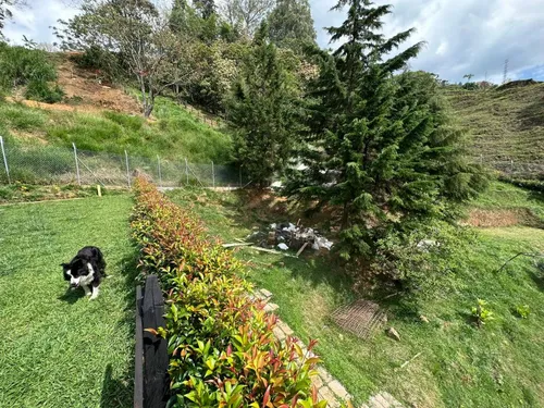 Casa Campestre En Venta En La Doctora. Cod V16255