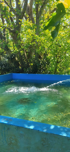 Venta Casa Quinta 3 Dormitorios Berisso Con Cochera