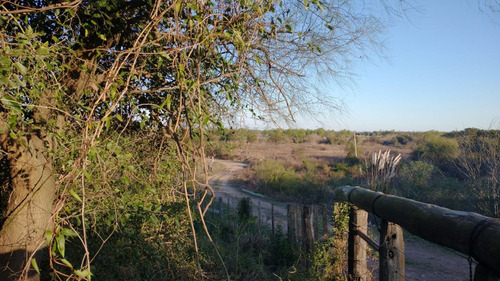 Venta Terreno - Vista Al Rio, Adelina Este