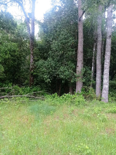 Venta Hermosa Parcela En Sector Rofuco Alto, La Unión