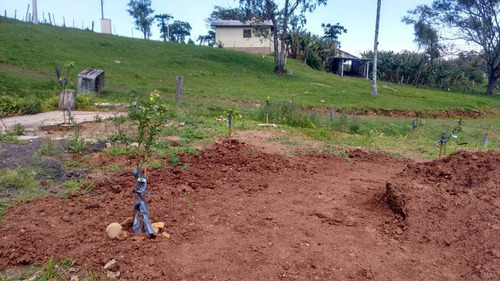 Imagem 9 de 15 de Chácara Para Venda Em Santo Antônio Da Patrulha, 3 Dormitórios, 1 Banheiro - Cwvcr010_2-1036806