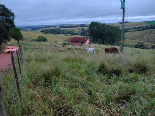 Imagem 9 de 16 de Sítio Com 3.8 Alqueires Com Casa Simples Terra Vermelha 5 Km Do Asfalto Água Corrente No Fundo Do Sítio, Oportunidade... Custo Benefício... Valor : 295 Mil Município De Itapetini - Ch00089 - 695779