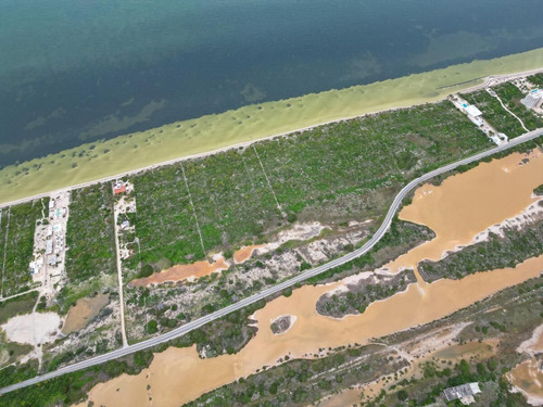 Terreno En Venta, Frente A Playa En San Crisanto, Yucatán