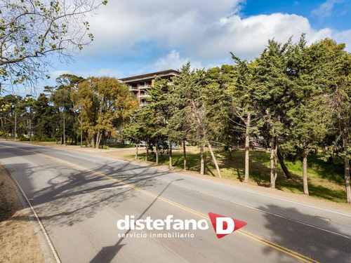 Imagen 9 de 12 de Terreno En Venta En Pinamar