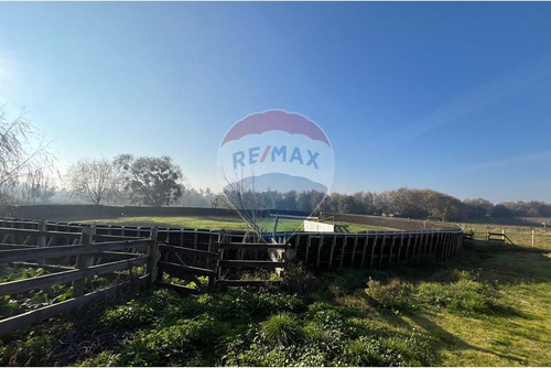 Se Arrienda Casa De Campo, 200 M2 Sector Purisima
