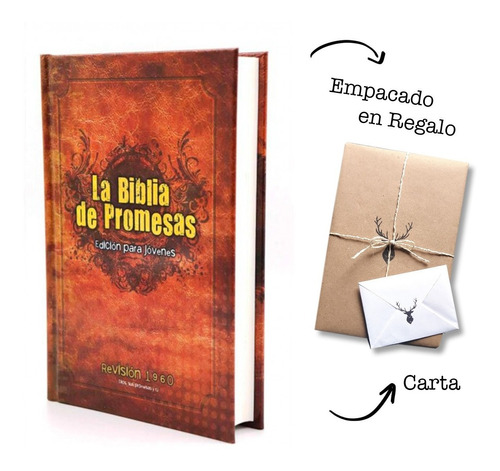 Biblia De Promesas Edición Para Jóvenes - Hombres Rvr 1960