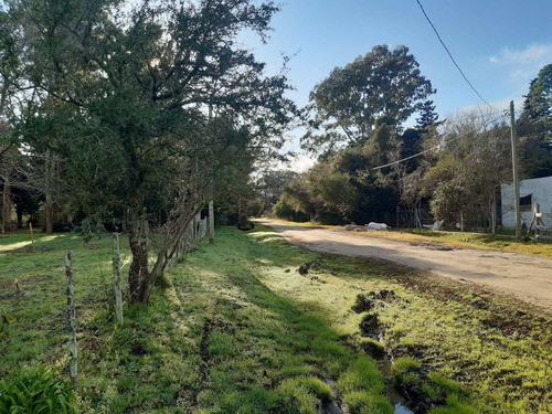 Imagen 5 de 8 de Lote En Punta Indio, 20x100. Escritura