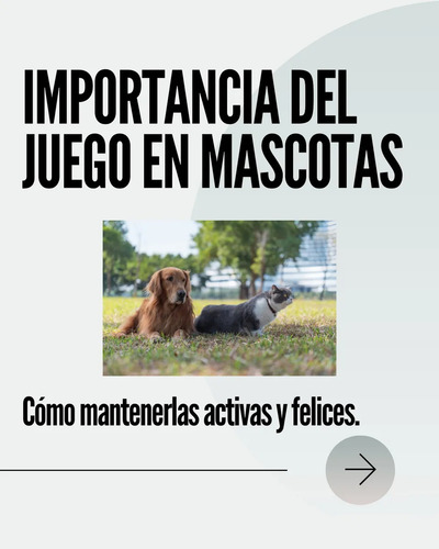 Collar Antipulgas Seresto Elanco Para Perros 2 Grande Y 1 Ch 2 Grandes Y 1 Chico