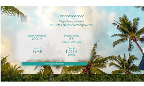 Imagen 5 de 12 de Terreno En Venta Dzidzantun