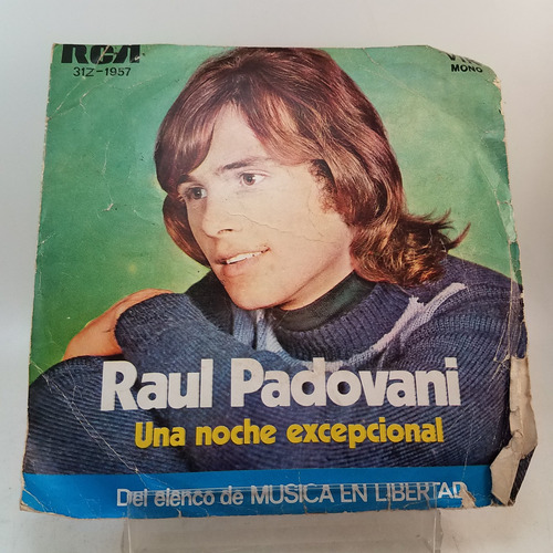 Raul Padovani - Estoy Loco, Loco - Vinilo Simple - B+