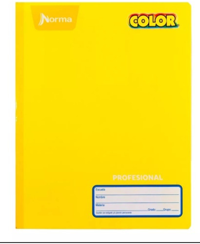 Libreta Profesional Norma Color 360 Cosido 100 Hojas  