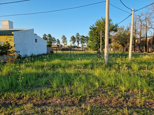 Imagen 3 de 4 de Terreno En Venta Loteo Banco Nación Villa Ocampo