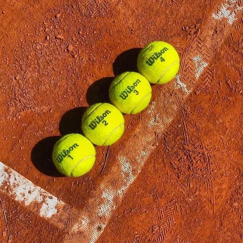 12 Tubos De 3 Pelotas Tenis Wilson Championship Extra Duty