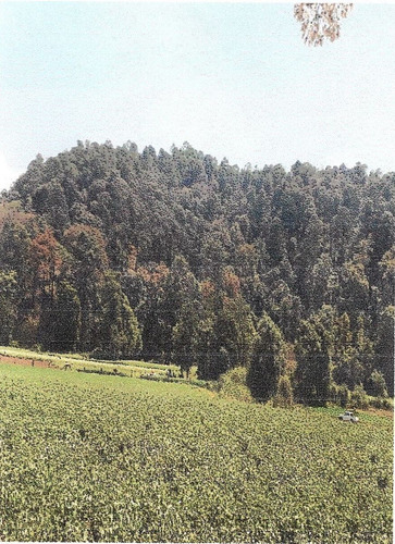 Terreno En Venta En Ex Hacienda San Lucas Del Pulque.