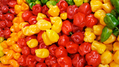 Semillas Habanero Manzano