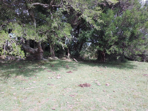 Campo Con Muy Buena Vista, Alto, Bien Ubicado