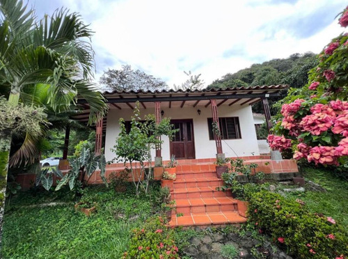 Casa Para La Venta En Santa Fe De Antioquia Medellin