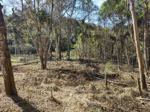 Imagem 10 de 11 de Ibiuna/terreno C/riacho/plano/cercado/ref:05268