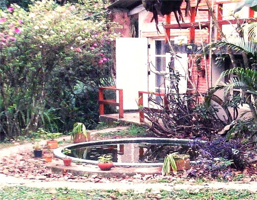 Imagem 10 de 26 de Oportunidade Única, Casa Para Venda, Granja Viana - Reo527630