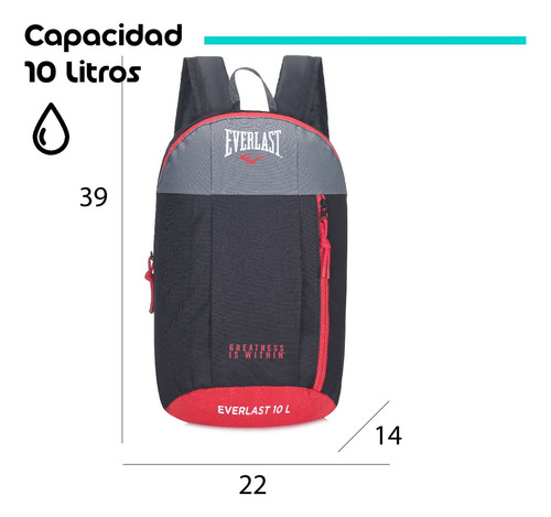 Mochila Everlast Running 10l Deportiva Liviana Urbana Unisex Color Gris verde Diseño De La Tela Liso