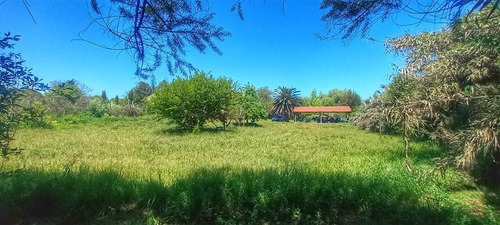 Imagen 7 de 17 de Sitio En Venta En Peñaflor