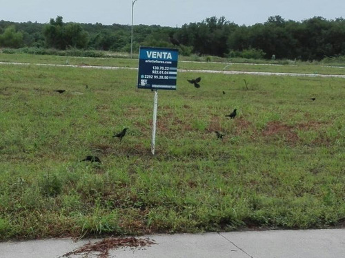 Imagen 6 de 8 de Terreno En Venta Las Palmas